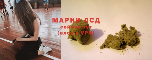 spice Богородск