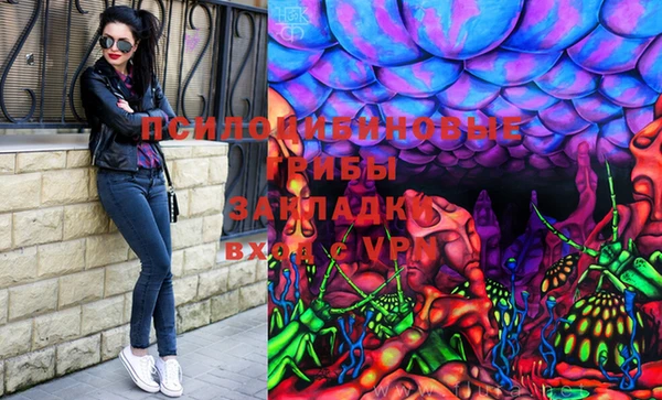 спиды Беломорск