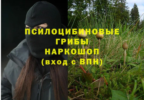 mdpv Богородицк