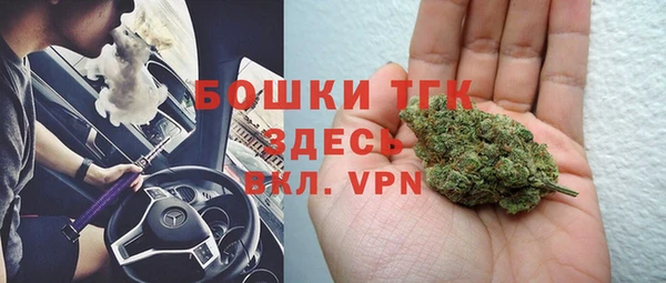 mdpv Богородицк