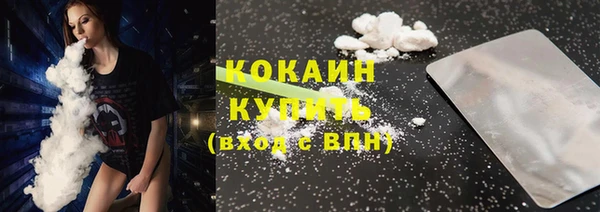 spice Богородск