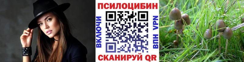 купить наркоту  Кириллов  KRAKEN как зайти  Псилоцибиновые грибы MAGIC MUSHROOMS 